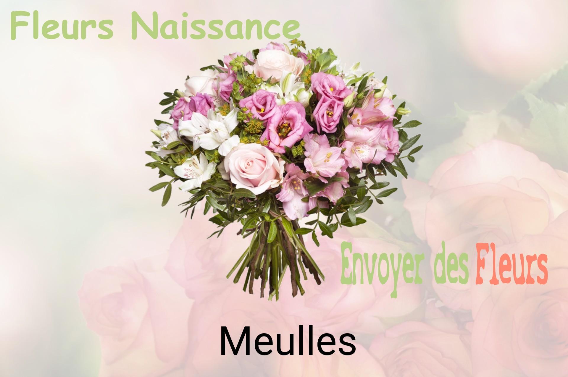 Bouquet de fleurs de naissance livré à Meulles